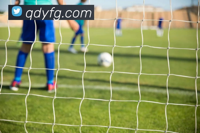 米兰app体育安全登录入口平台生态图